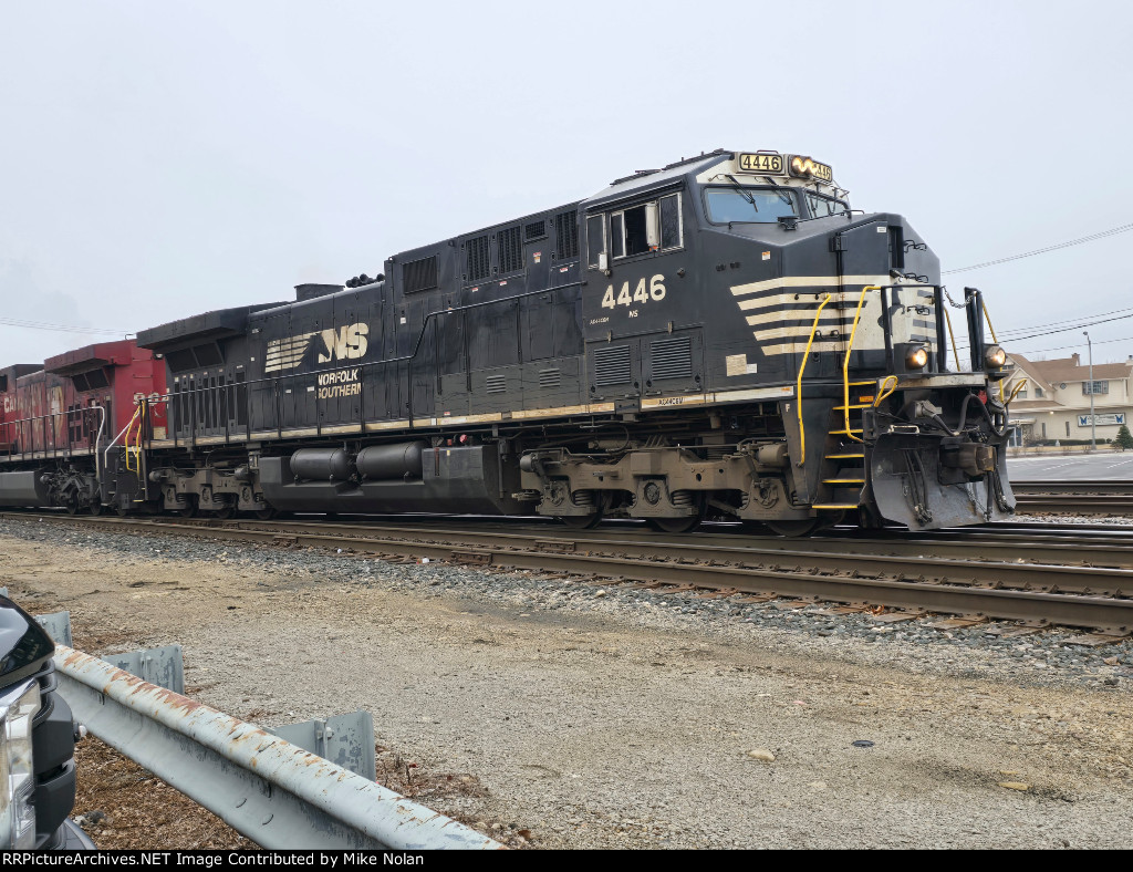 NS 4446